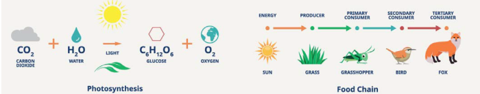 How We Generate Energy | Instrumetrics Article | Yokogawa Test&Measurement