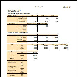 Sample of report